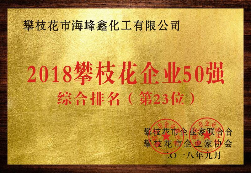 The 23rd largest enterprise in terms of comprehensive strength in Panzhihua City